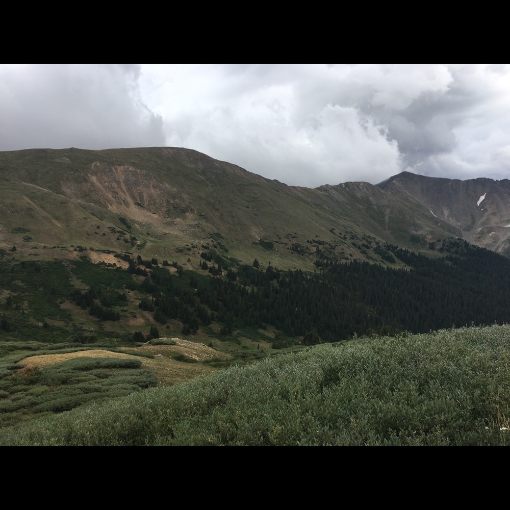 Meet your Posher, Zea